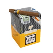 Smokes Cigar On Top