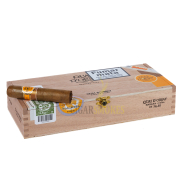 smokes