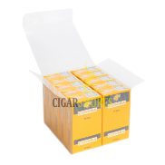 Cohiba Short