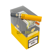 Cohiba Siglo II Tubos 