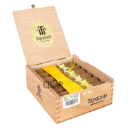Trinidad Vigia
