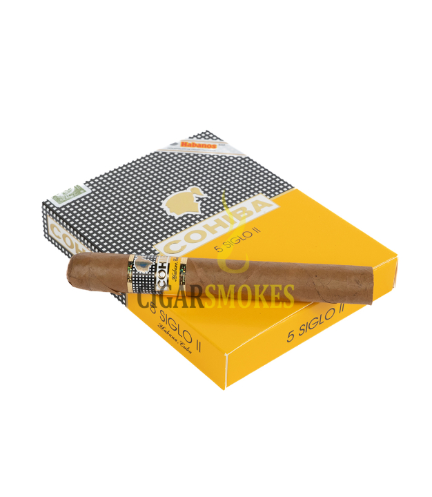 Smokes Cigar On Top