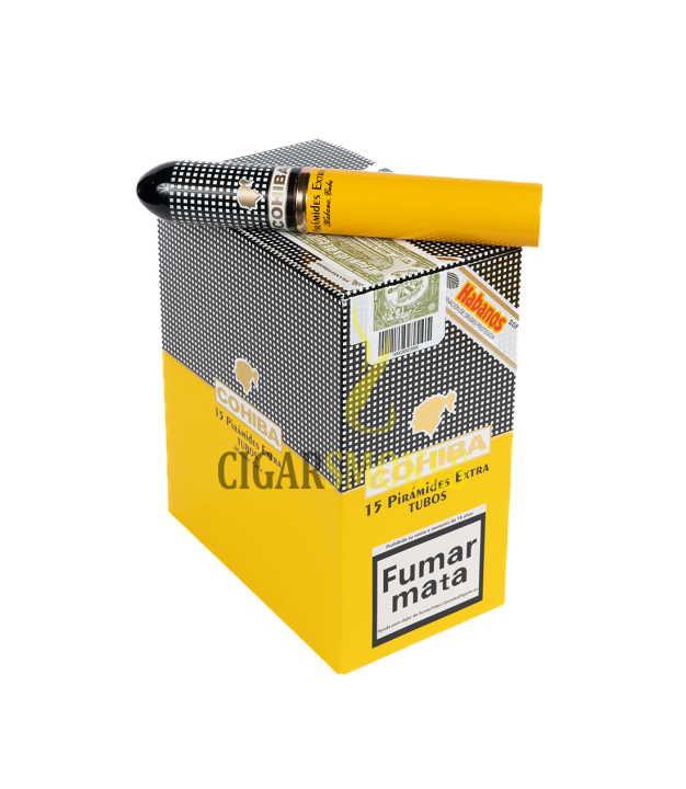 Smokes Cigar On Top