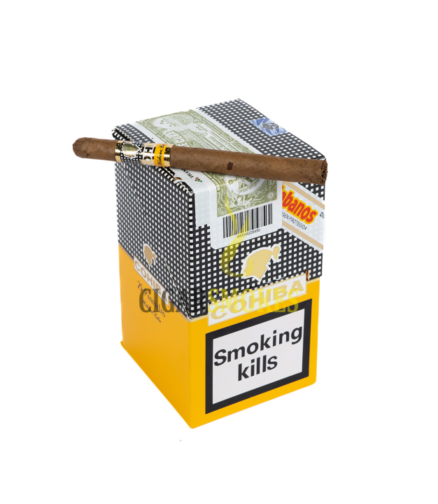 Smokes Cigar On Top