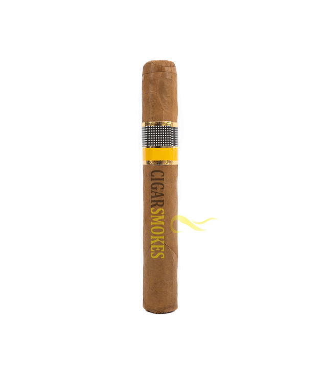 Cohiba Siglo VI 