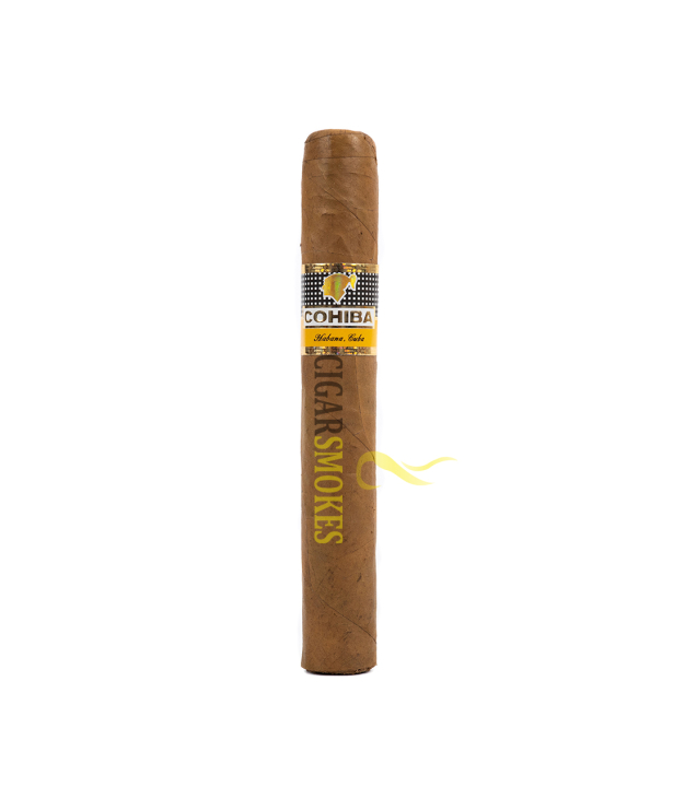 Cohiba Siglo VI 