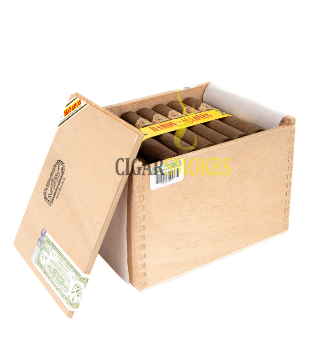 smokes