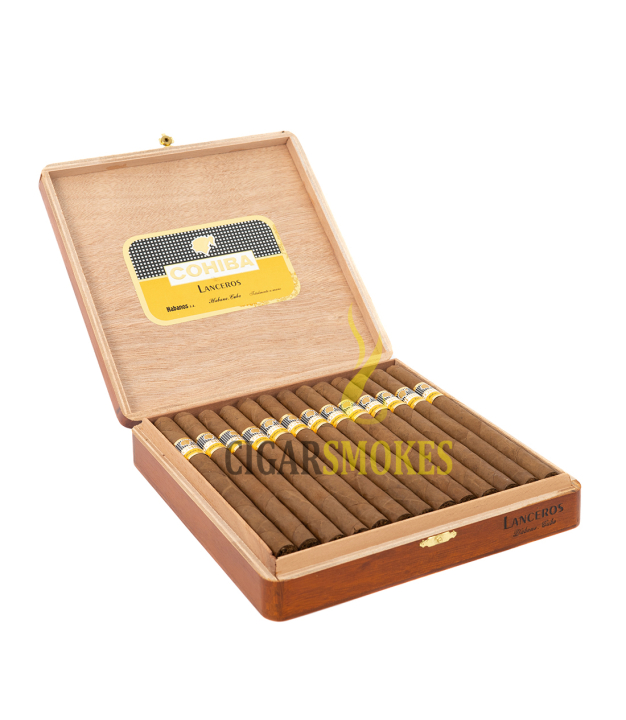 smokes