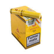 Smokes
